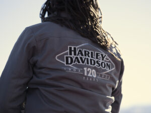Harley-Davidson com um bom ano financeiro, excepto na LiveWire thumbnail